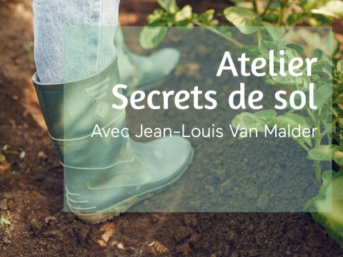 Atelier 1/3 | Secrets de sol