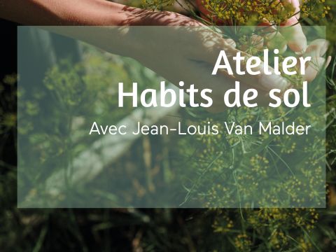 Atelier 2/3 | Habits de sol