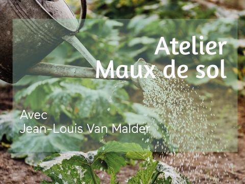 Atelier 3/3 | Maux de sol