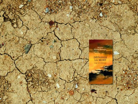 Dépasser la mort - L'agir de la littérature | Conférence de Myriam Watthee-Delmotte