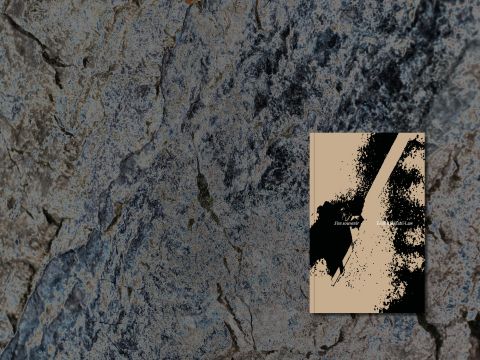 S’en souvenir d'Émilia Stéfani-Law