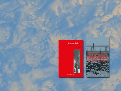 Fiction tombeau Ma phrase Matière de Dominique Quélen