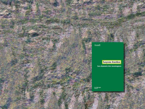 Leçons kurdes. Les damnés des montagnes d'Azadî