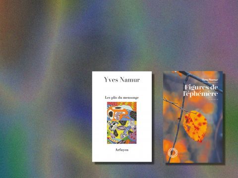 Figures de l’éphémère & Les Plis du mensonge d'Yves Namur