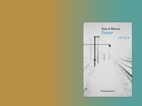 Élagages d'Yves di Manno