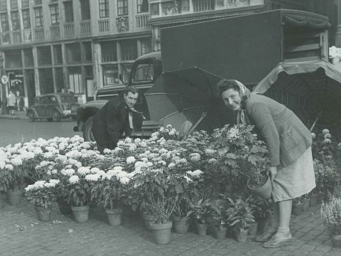 Le jardinier de la Grand-Place