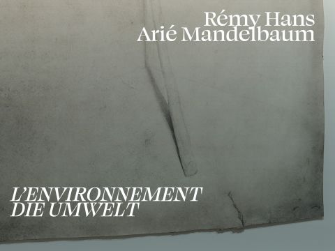 Die Umwelt, L’Environnement | Rémy Hans et Arié Mandelbaum